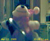 Picture 1 Loading...